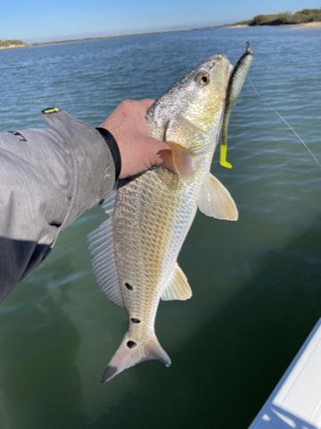 Redfish held up over the water on a Down South lure
