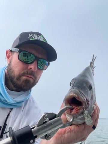 Angler with a sheepshead caught on a Down South lure