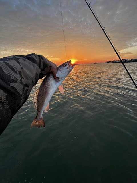 Fish held up at sunset