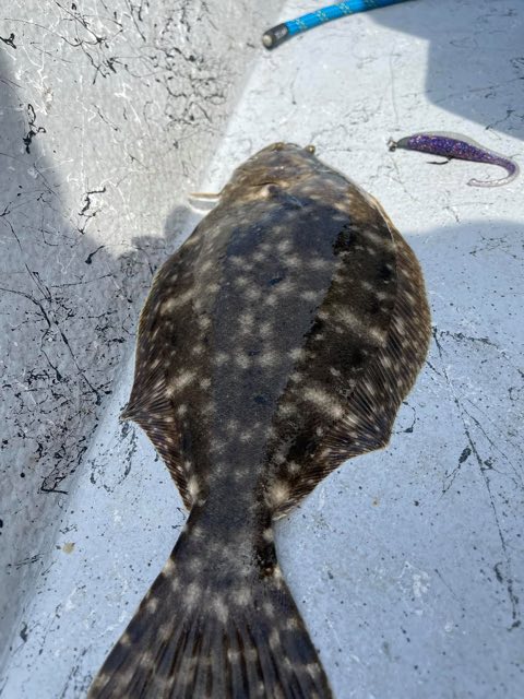 Flounder on the deck