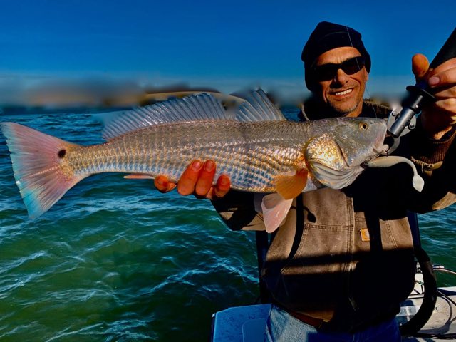 Smiling angler with a redfish over blue water