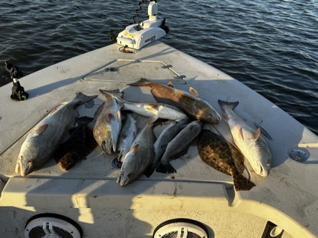 Redfish and trout laid out on the bow