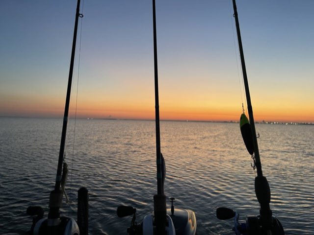 Rods in the holders at sunrise