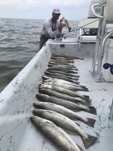 Angler at the stern with a long row of speckled trout down the deck