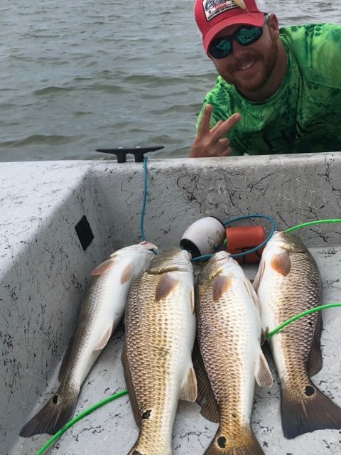 Redfish lined up on the deck