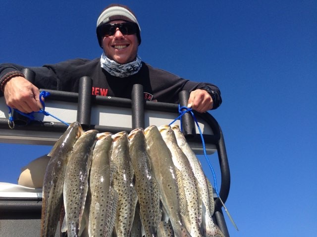 Angler behind a stringer of speckled trout