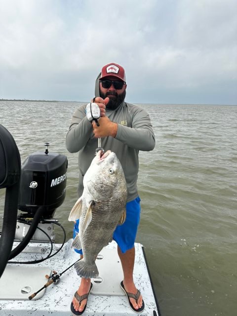 Angler holding a big black drum on the boat