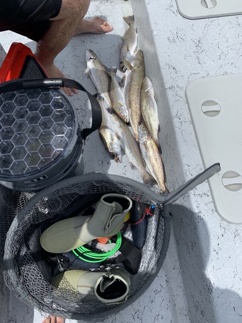 Trout on the deck next to the wade gear