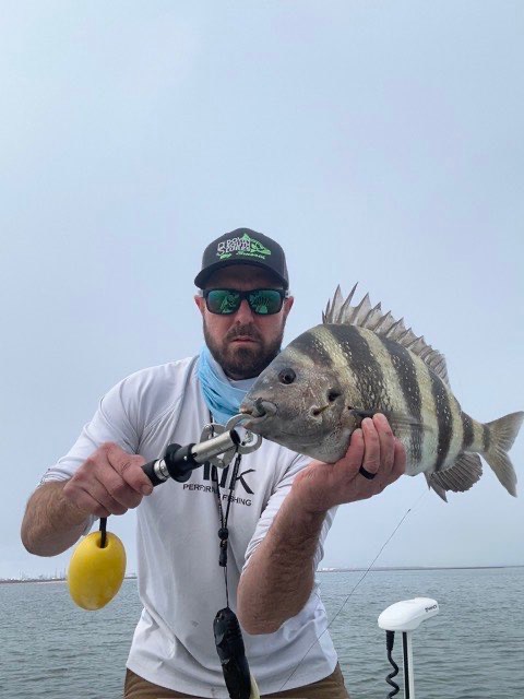 Angler holding up a sheepshead