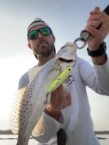 Speckled trout with a topwater in its mouth