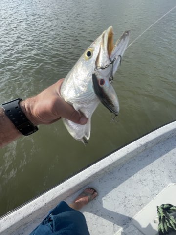 Fish on a topwater held beside the boat